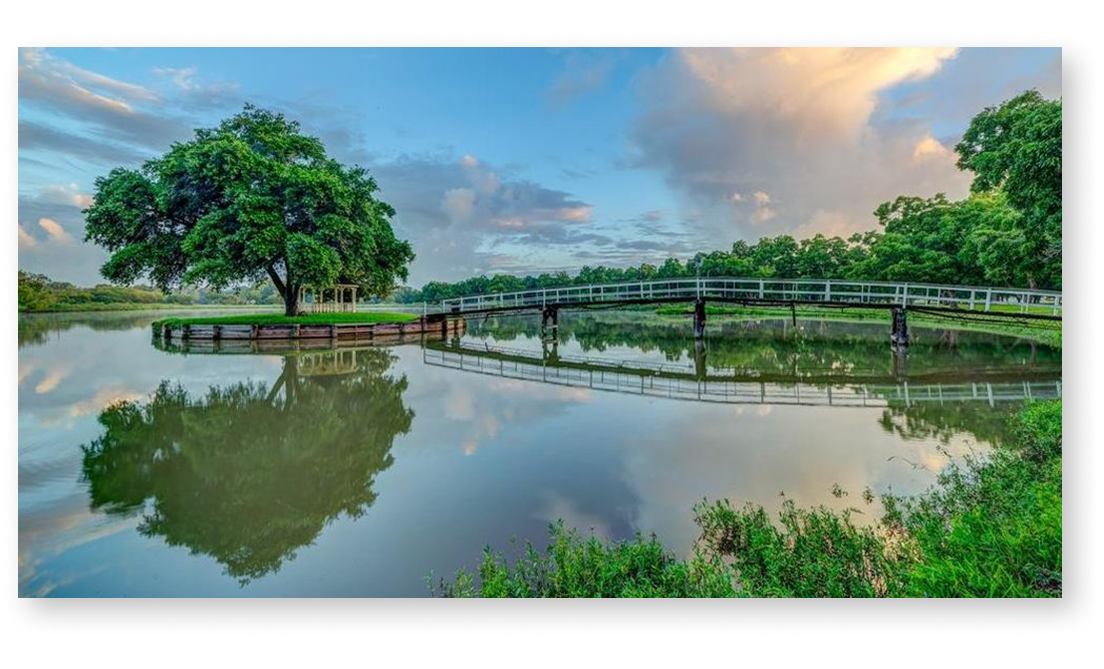 Dr. Stella is a devout christian