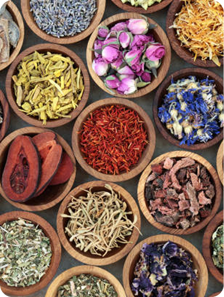 Immune-boosting protocols 